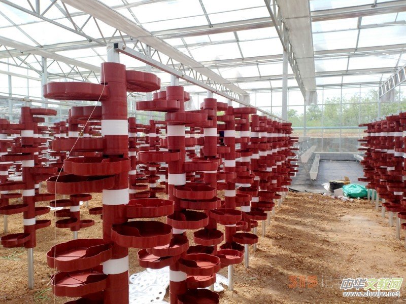 ���ϰ�����󶼅^(q��)�����(zh��n)�|��������AAA�����l(xi��ng)���(c��)ӛ