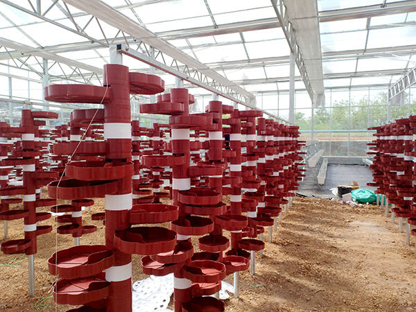 ��(chu��ng)����@�l(xi��ng)��  �l(f��)չ��������