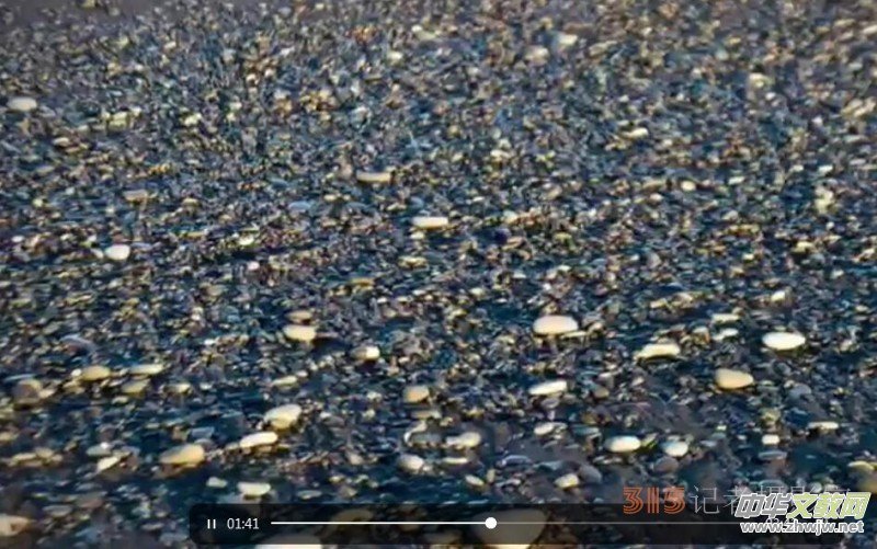 ���ć��HԊ�˪��������繝(ji��)�؄e�����2022��6��6����ʽ�Y(ji��)��