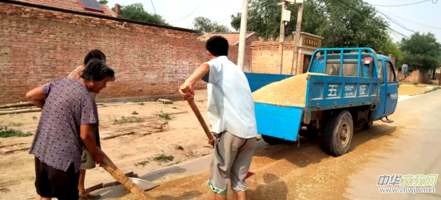 ���������w�}����ӛɽ�|���݌���h����Ŀ��С�r(n��ng)ˮ��������