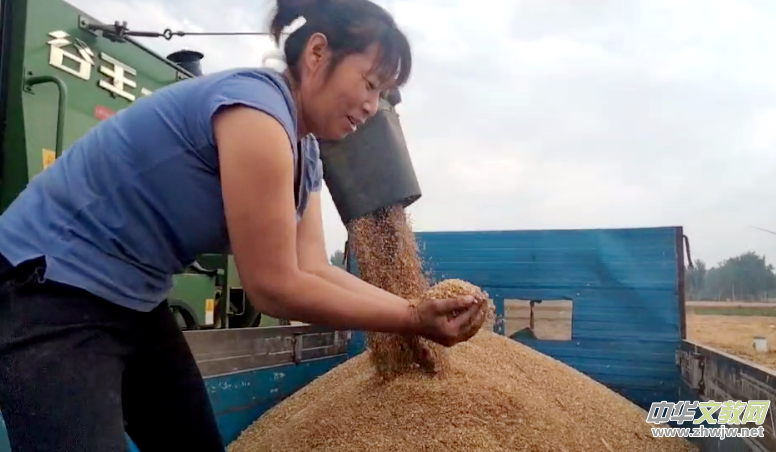 ���������w�}����ӛɽ�|���݌���h����Ŀ��С�r(n��ng)ˮ��������