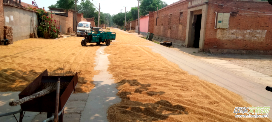 ���������w�}����ӛɽ�|���݌���h����Ŀ��С�r(n��ng)ˮ��������