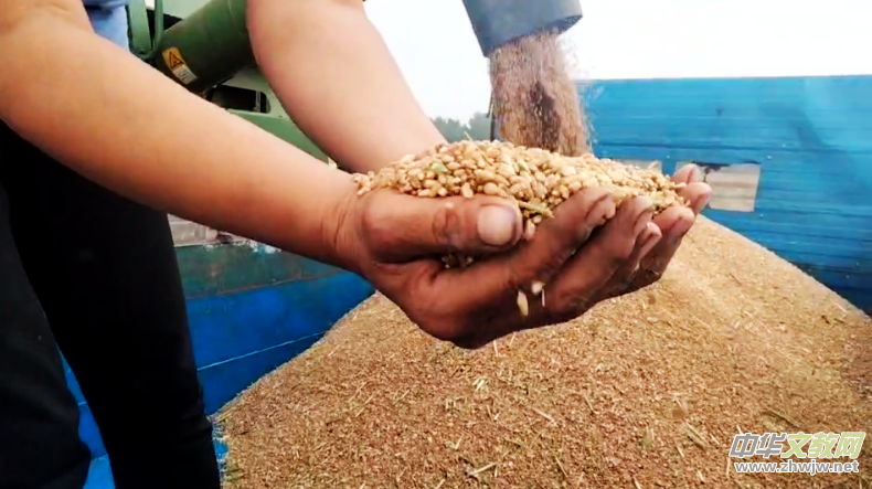 ���������w�}����ӛɽ�|���݌���h����Ŀ��С�r(n��ng)ˮ��������