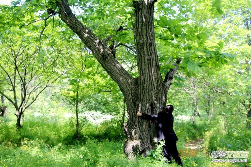 ��`ع�������İ��պͿhʯ���(zh��n)