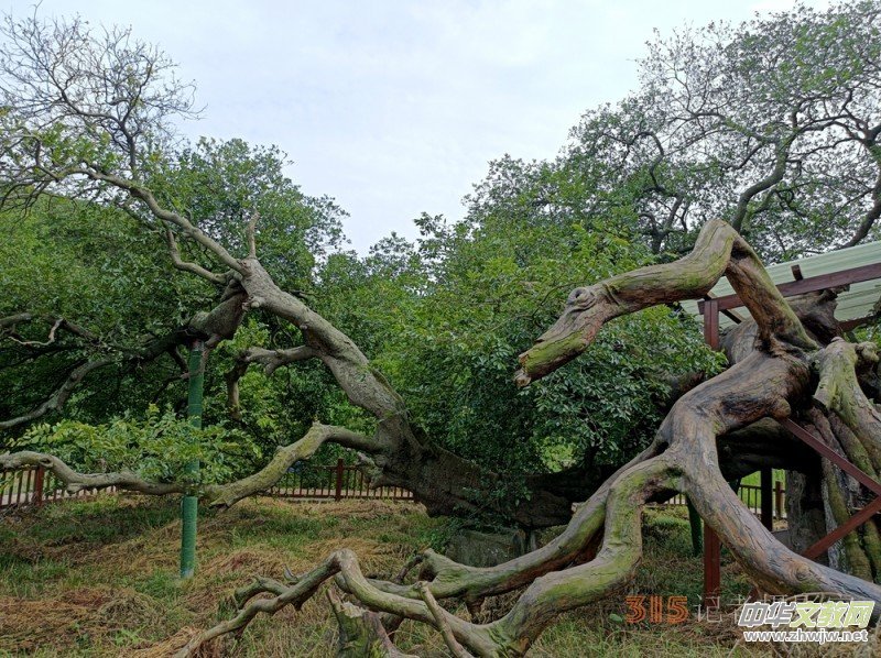 ��`ع�������İ��պͿhʯ���(zh��n)