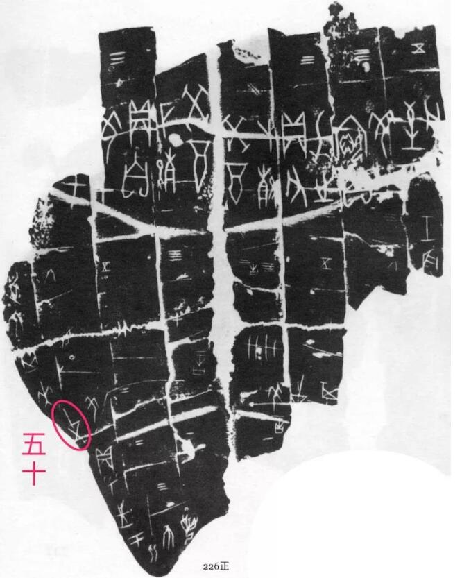 Ц�����������׹��ĺ��w�֕������p