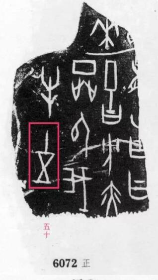 Ц�����������׹��ĺ��w�֕������p