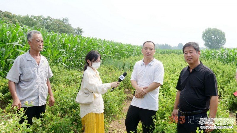 ̼?x��)�Ƽ��˷ʼ��g(sh��)������¹�h���y���Nֲ�����r(n��ng)��ϲ���S��