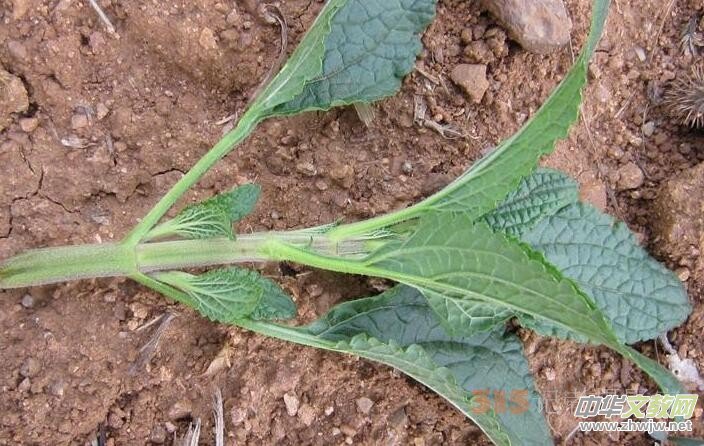 ����,�ֽм��B�Ӳ�,��ˮ�ȵĹ�Ч