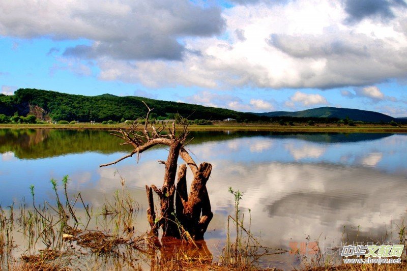 �����O��܊�zӰ��Ʒ:�L��ɽ�M�D