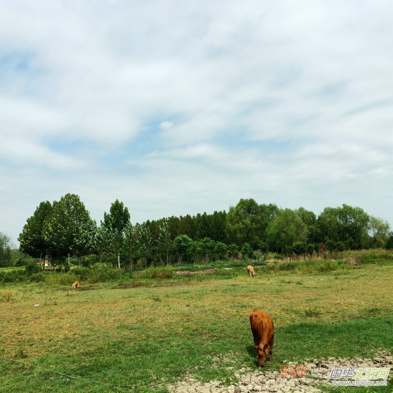 ��ɳԊ�D����һ�l���С·�ߵ���