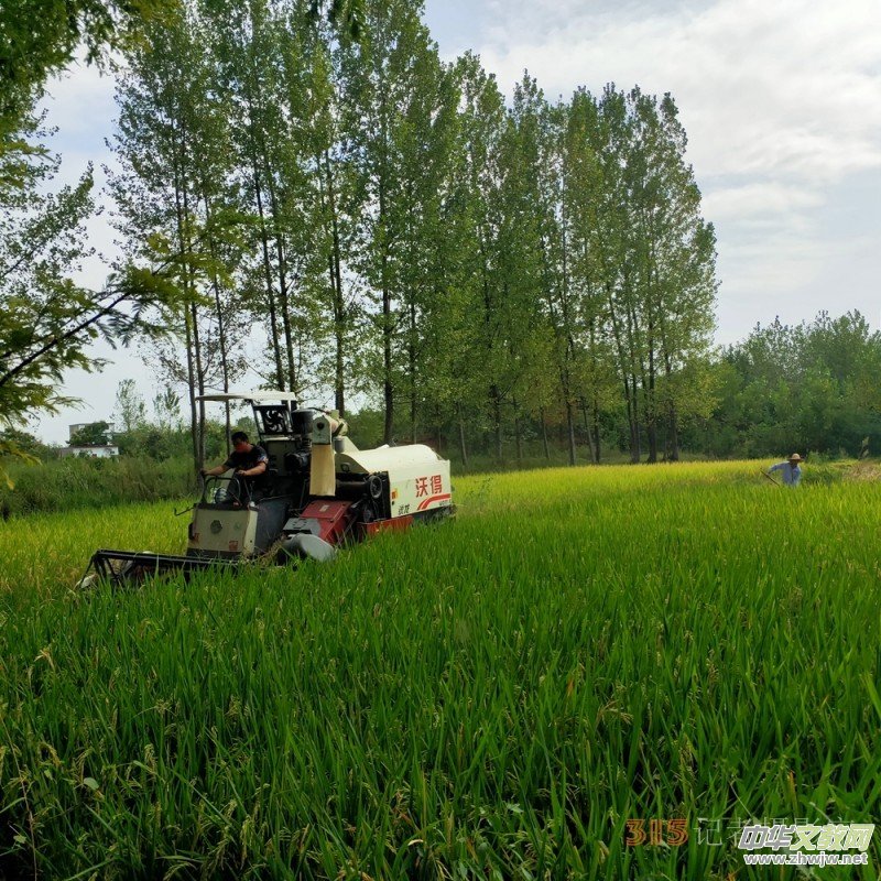 ��ɳԊ�D����һ�l���С·�ߵ���