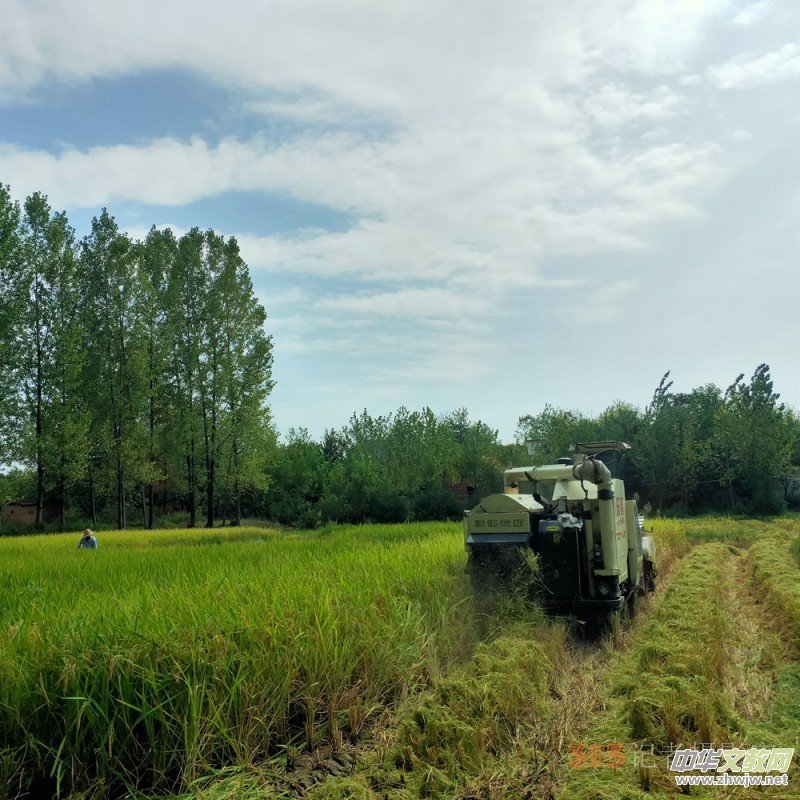 ��ɳԊ�D����һ�l���С·�ߵ���