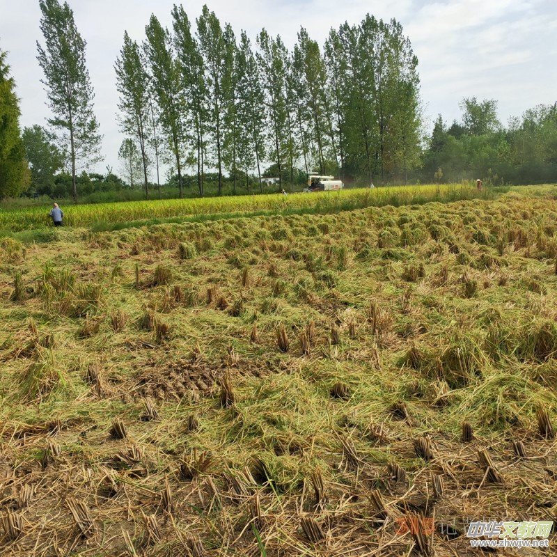 ��ɳԊ�D����һ�l���С·�ߵ���