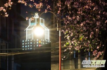 ���ǵğ���