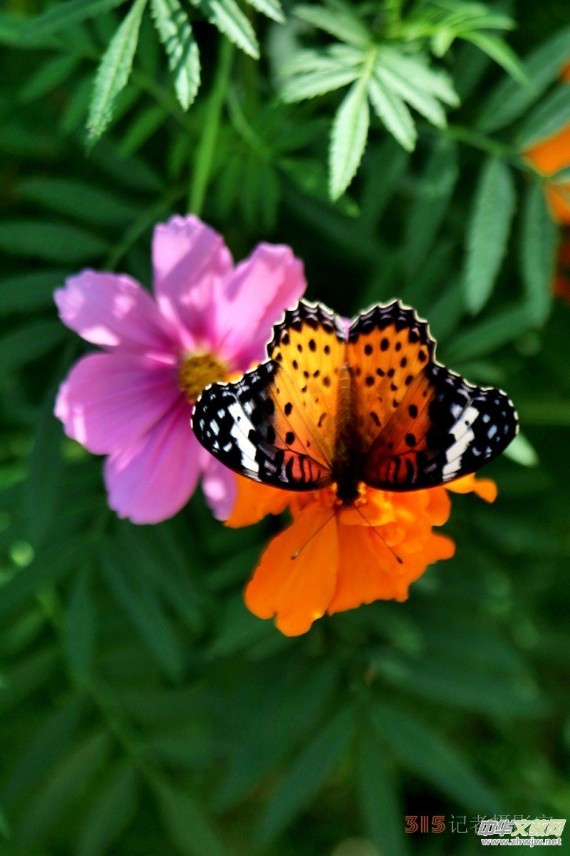 ���軨�G���������O��܊�zӰ��Ʒ