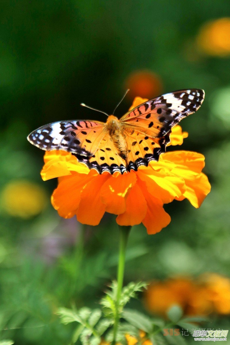 ���軨�G���������O��܊�zӰ��Ʒ