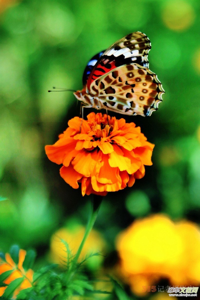 ���軨�G���������O��܊�zӰ��Ʒ