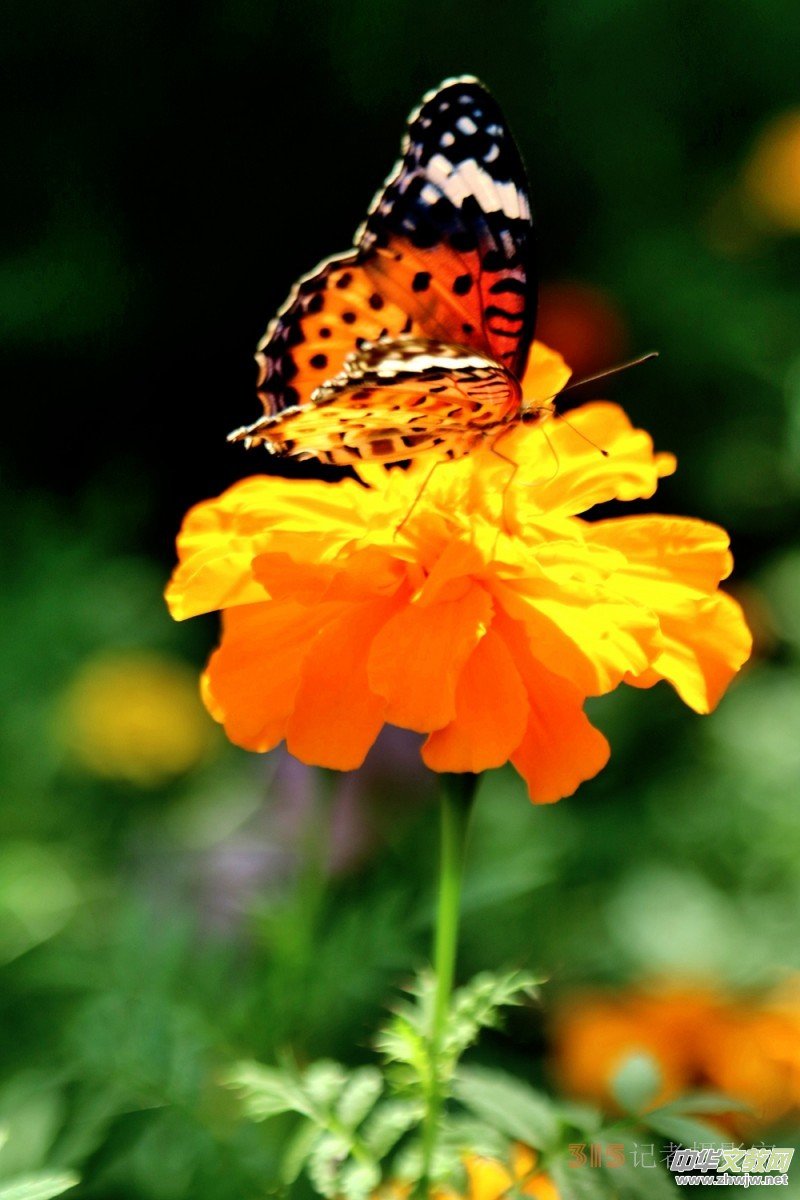 ���軨�G���������O��܊�zӰ��Ʒ