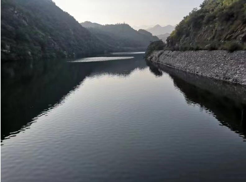 ���d�V�I(y��)���F(tu��n)��ץ�|(zh��)������ȫ ��ɽ���fӳ�{(l��n)��