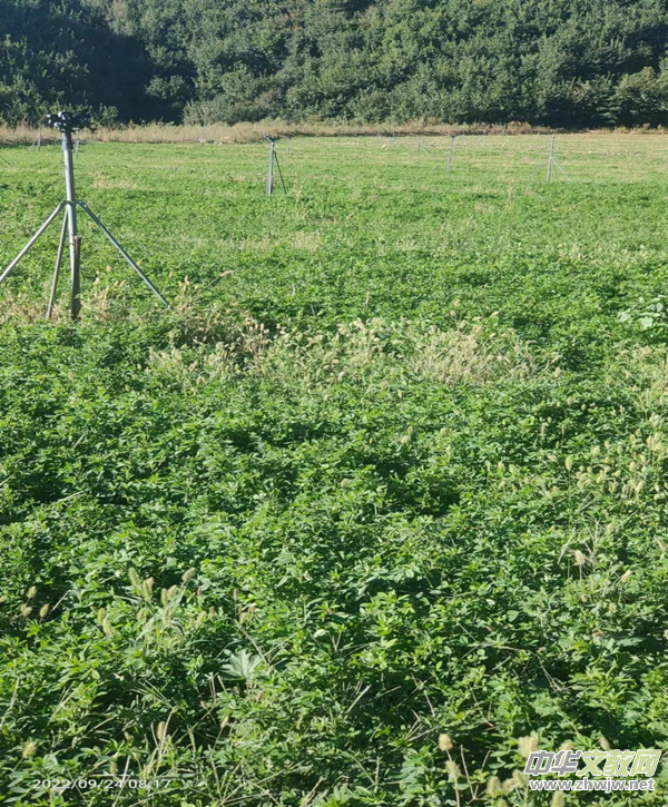 ���d�V�I(y��)���F(tu��n)��ץ�|(zh��)������ȫ ��ɽ���fӳ�{(l��n)��