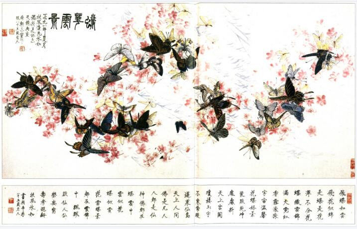 �v����� ��������