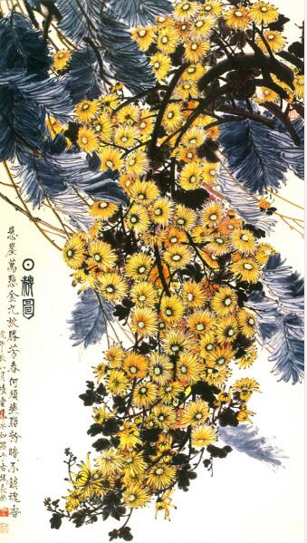 �v����� ��������