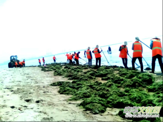 ����(x��)�o���ČW(xu��)���̺��𞩱����ӡ�����l(f��)��