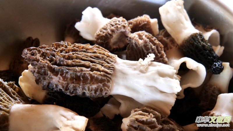 ����R���ӱ���h���ľ��Ǿ��N��ؔ(c��i)��·