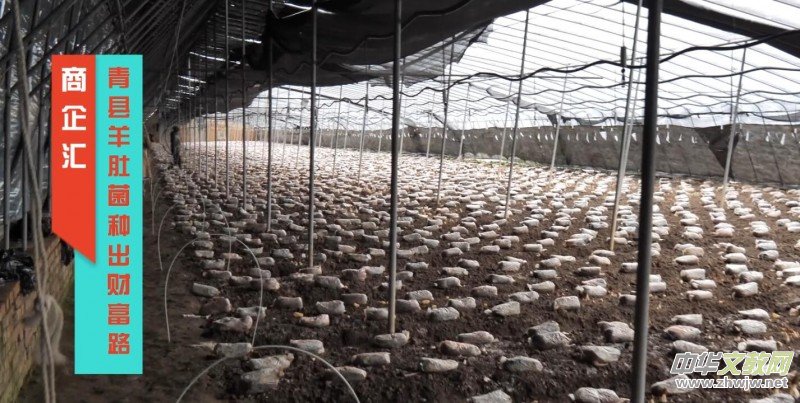 ����R���ӱ���h���ľ��Ǿ��N��ؔ(c��i)��·