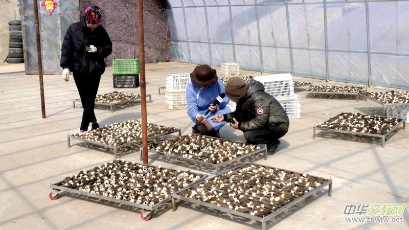 ����R���ӱ���h���ľ��Ǿ��N��ؔ(c��i)��·