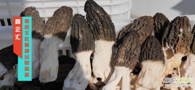 ����R���ӱ���h���ľ��Ǿ��N��ؔ(c��i)��·