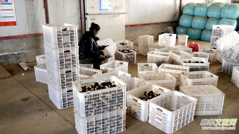 ����R���ӱ���h���ľ��Ǿ��N��ؔ(c��i)��·