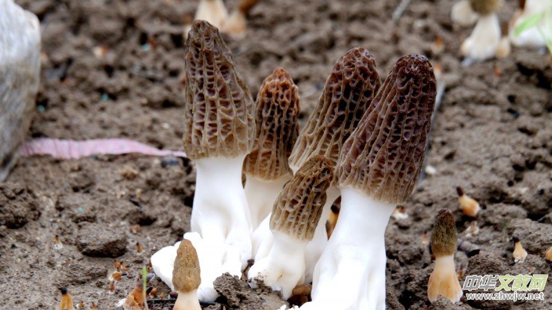 ����R���ӱ���h���ľ��Ǿ��N��ؔ(c��i)��·