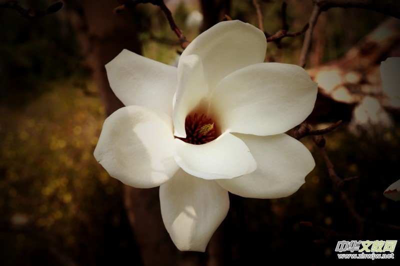 315ӛ�ߔzӰ�����������ܔzӰ��Ʒ