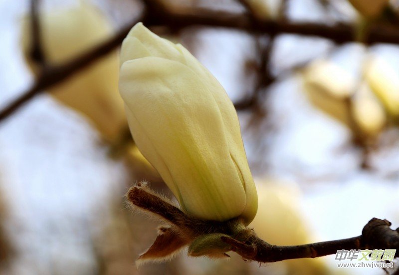 315ӛ�ߔzӰ�����������ܔzӰ��Ʒ