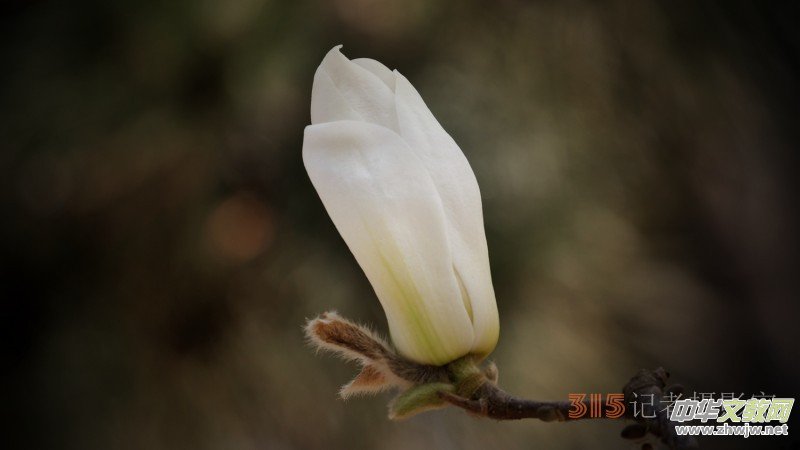 Ц���zӰ�������ֻ��_ �B���Q�G��