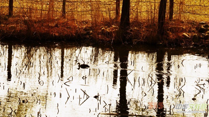 Ц���zӰ�������ֻ��_ �B���Q�G��