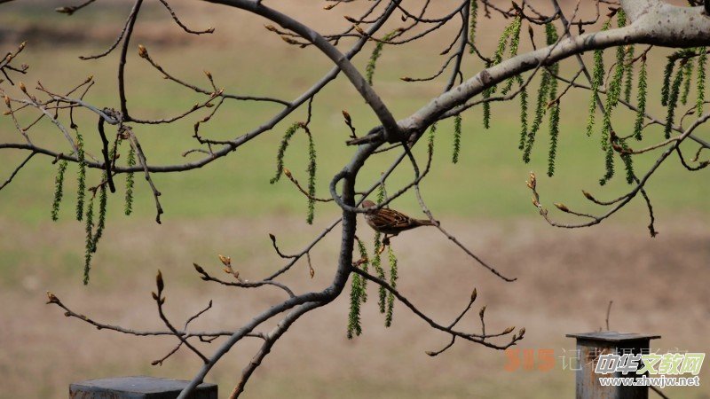 Ц���zӰ�������ֻ��_ �B���Q�G��