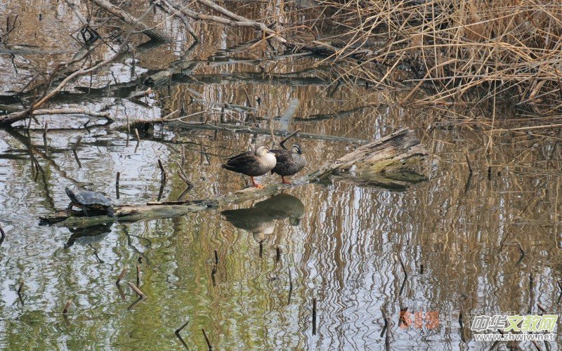 Ц���zӰ�������ֻ��_ �B���Q�G��