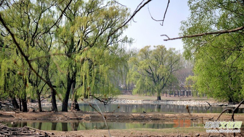 Ц���zӰ�������ֻ��_ �B���Q�G��