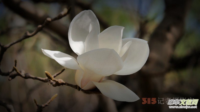 Ц���zӰ�������ֻ��_ �B���Q�G��