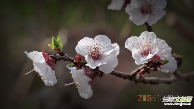 Ц���zӰ�������ֻ��_ �B���Q�G��