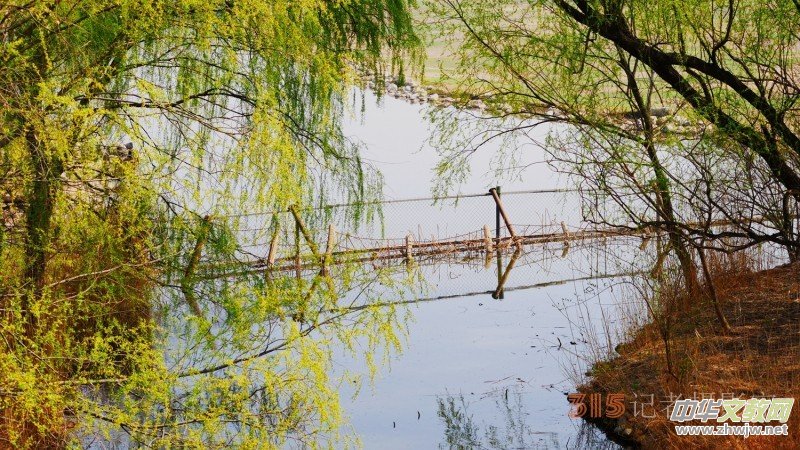 Ц���zӰ�������ֻ��_ �B���Q�G��