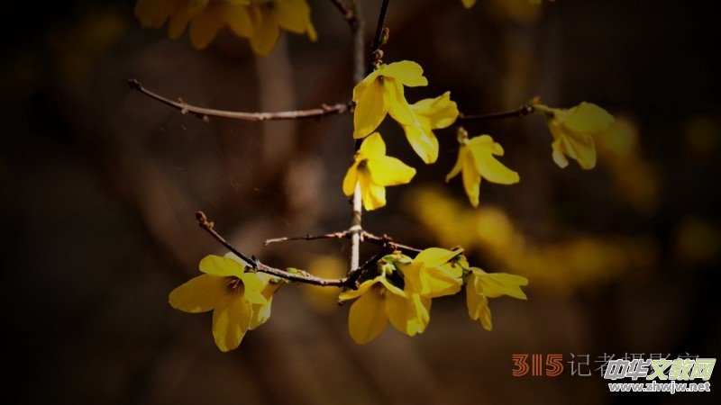 Ц���zӰ�������ֻ��_ �B���Q�G��