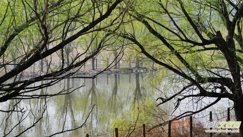 Ц���zӰ�������ֻ��_ �B���Q�G��