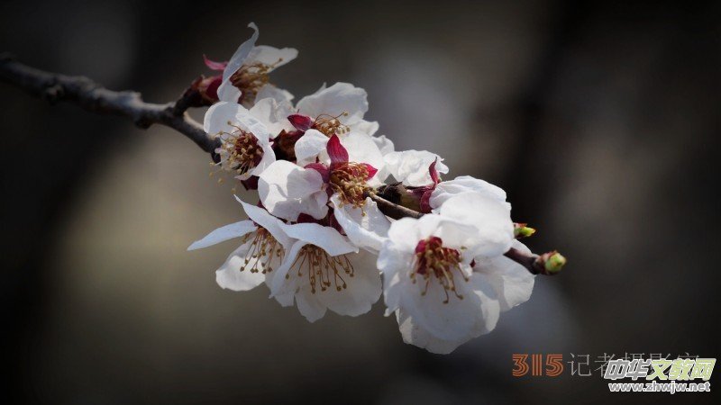 Ц���zӰ�������ֻ��_ �B���Q�G��