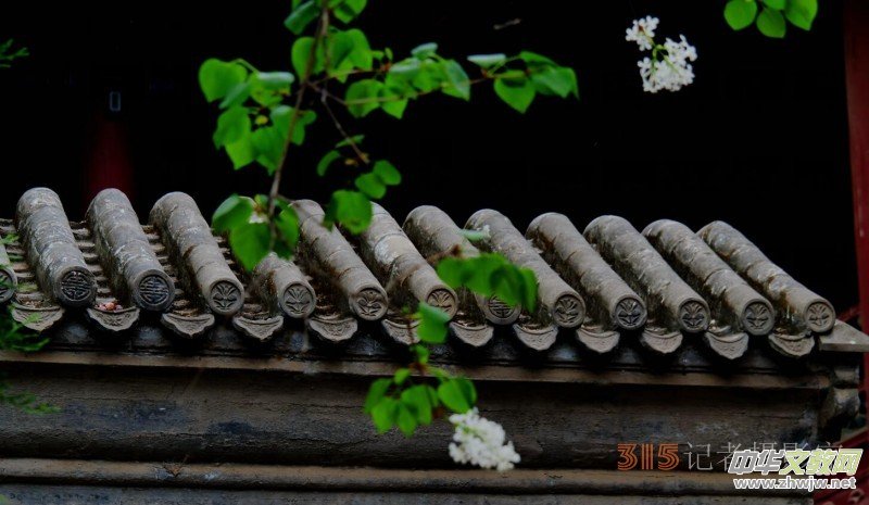 Ц���zӰ:��Դ�¶�����Ϻ�����