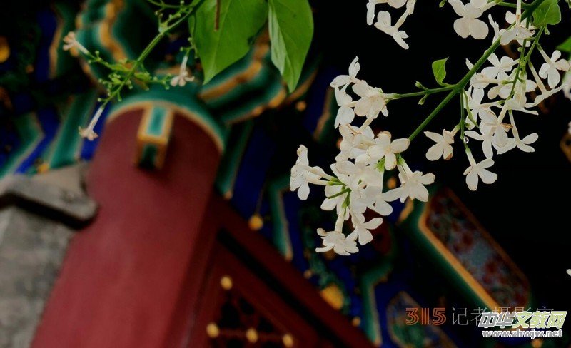 Ц���zӰ:��Դ�¶�����Ϻ�����