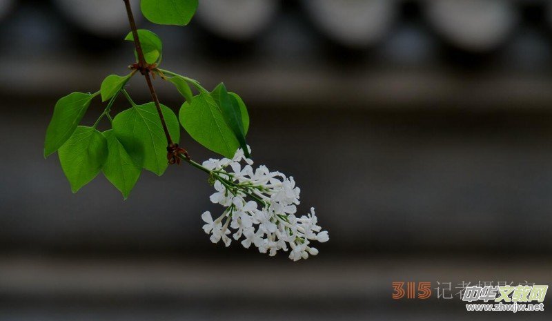 Ц���zӰ:��Դ�¶�����Ϻ�����